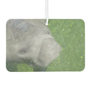 Désodorisant Pour Voiture Manatee Smiles