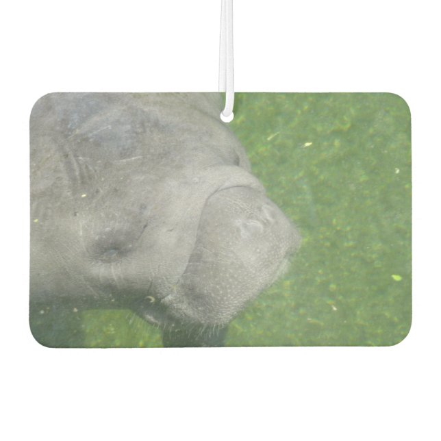 Désodorisant Pour Voiture Manatee Smiles (Devant)