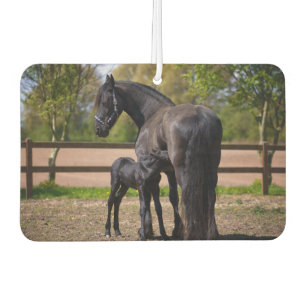 Désodorisant Pour Voiture Momma et Baby Horse