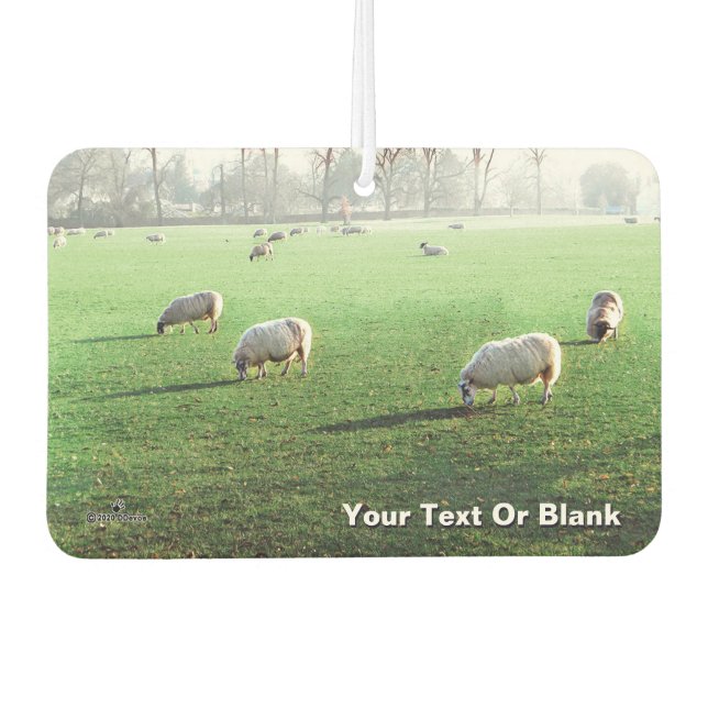 Désodorisant Pour Voiture Moutons du palais de Blenheim (Devant)