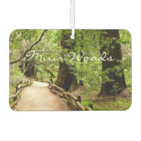 Muir Woods Path II Nature Photography