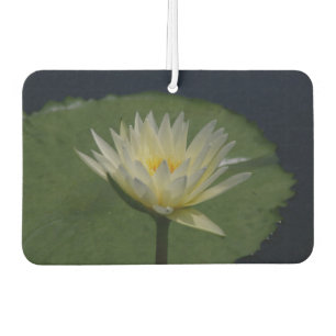 Désodorisant Pour Voiture Nénuphar blanc Lotus