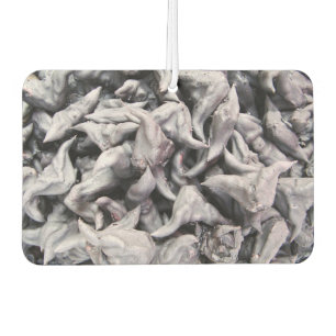Désodorisant Pour Voiture Noix de buffle - Water Caltrop