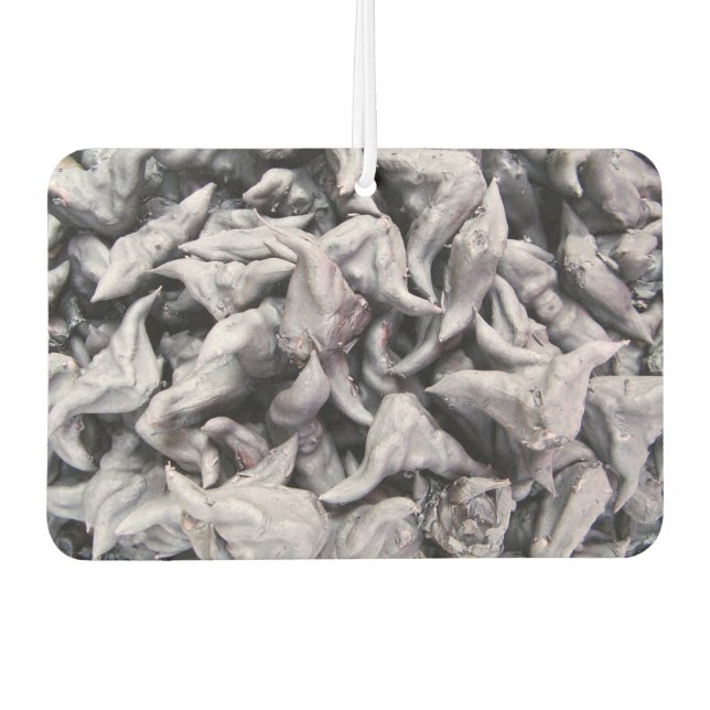 Désodorisant Pour Voiture Noix de buffle - Water Caltrop (Devant)