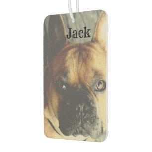 Désodorisant Pour Voiture Nom de la photo personnalisée Cute Dog Pet