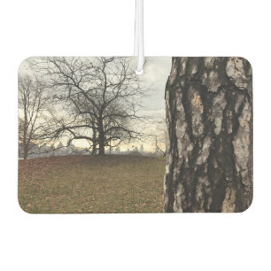 Désodorisant Pour Voiture NYC New York City Central Park Tree Sunrise Photo