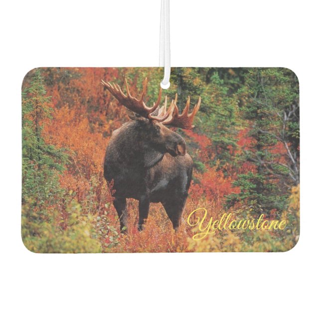 Désodorisant Pour Voiture Oie de Yellowstone (Devant)