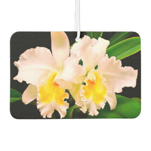 Désodorisant Pour Voiture Orchidées délicates