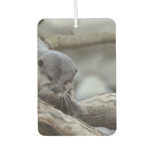 Désodorisant Pour Voiture Otter adorable