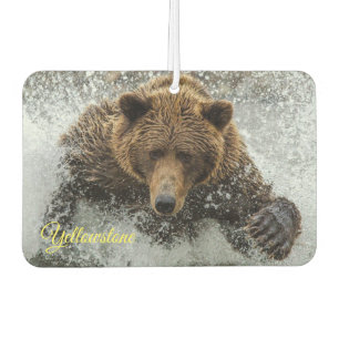 Désodorisant Pour Voiture Ours de Yellowstone