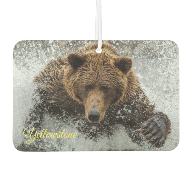 Désodorisant Pour Voiture Ours de Yellowstone (Devant)