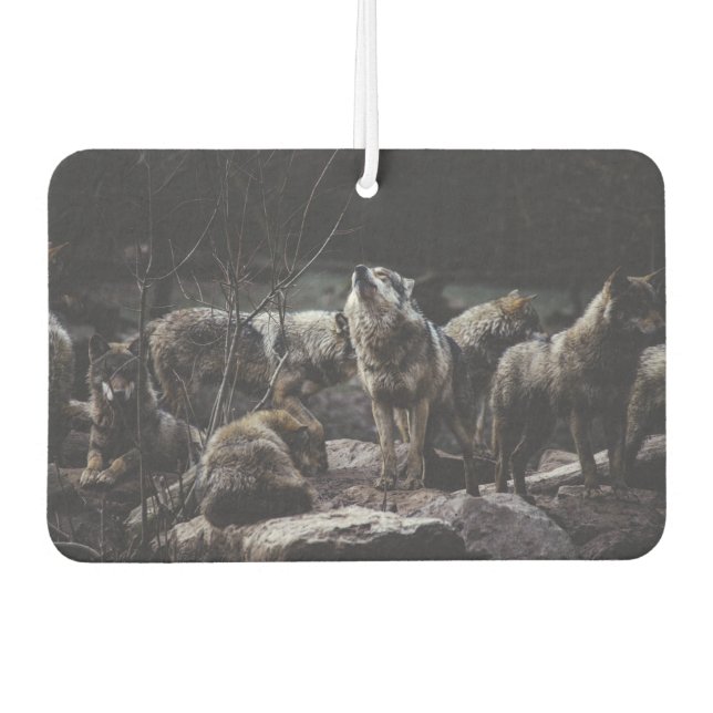 Désodorisant Pour Voiture Pack Wolf (Devant)