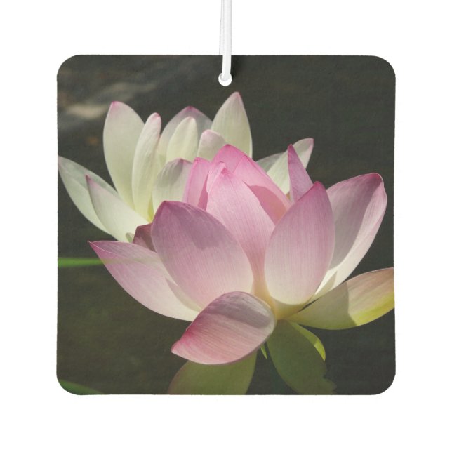 Désodorisant Pour Voiture Paire de fleurs de Lotus II (Devant)