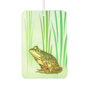 Désodorisant Pour Voiture Parfum d'ambiance de princesse Charming Frog