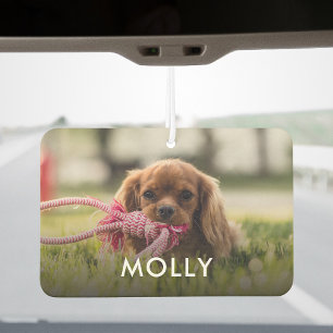 Désodorisant Pour Voiture Personnalisé L'Un D'Un Type Photo Et Nom Animaux D