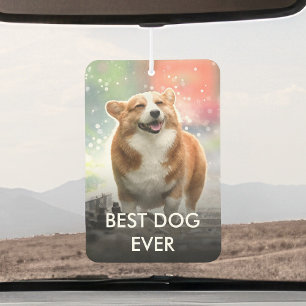 Désodorisant Pour Voiture Photo Et Nom Personnalisés De L'Animal De Compagni