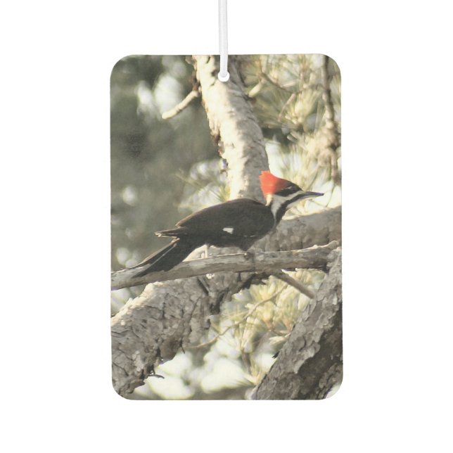 Désodorisant Pour Voiture Pic pilé Air Freshener (Devant)