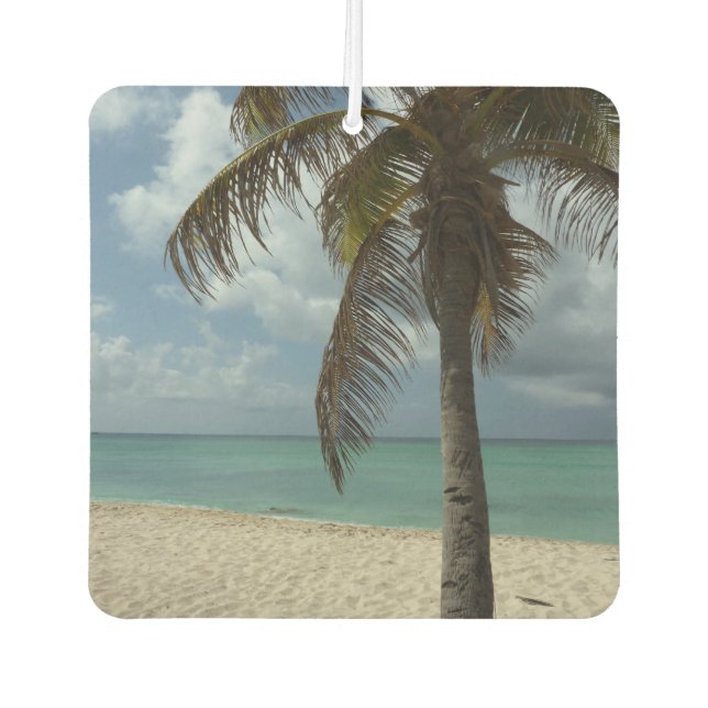 Désodorisant Pour Voiture Plage d'Aruba I Belle Scène Nature (Devant)
