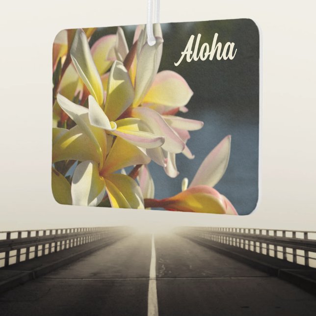 Désodorisant Pour Voiture Plumeria tropicale Frangipani Fleurs florales Aloh (Créateur téléchargé)
