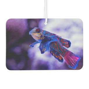 Désodorisant Pour Voiture Poisson Mandarin Goby