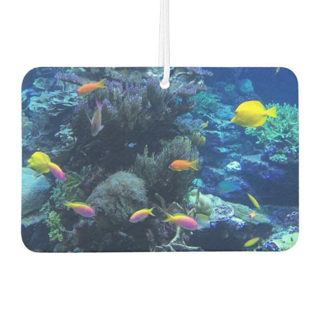Désodorisant Pour Voiture Poisson Tropical Jaune Photo Sous L'Eau (Devant)