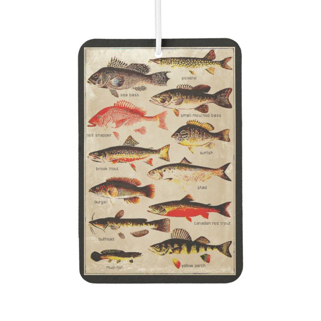 Désodorisant Pour Voiture Poisson Vintage Artwork à double face (Devant)