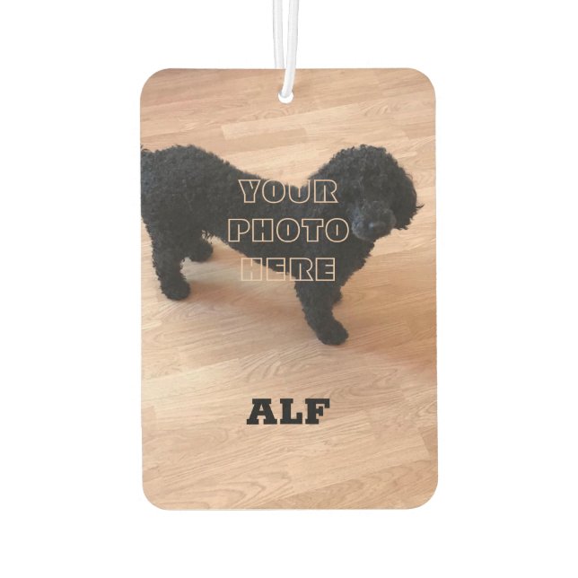 Désodorisant Pour Voiture Poodle noir (Dos)