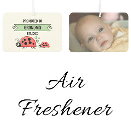 Désodorisant Pour Voiture Promoted to grandma ladybugs photo green