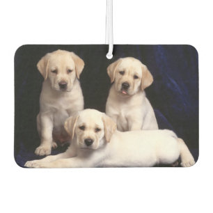 Désodorisant Pour Voiture Puppies Air Freshener