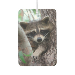 Désodorisant Pour Voiture Raccoon