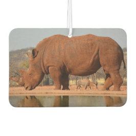 Désodorisant Pour Voiture Rhino avec boue sur la peau photo