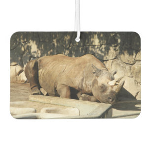 Désodorisant Pour Voiture Rhino couché