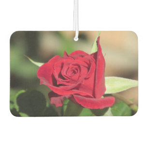 Désodorisant Pour Voiture Rose rouge