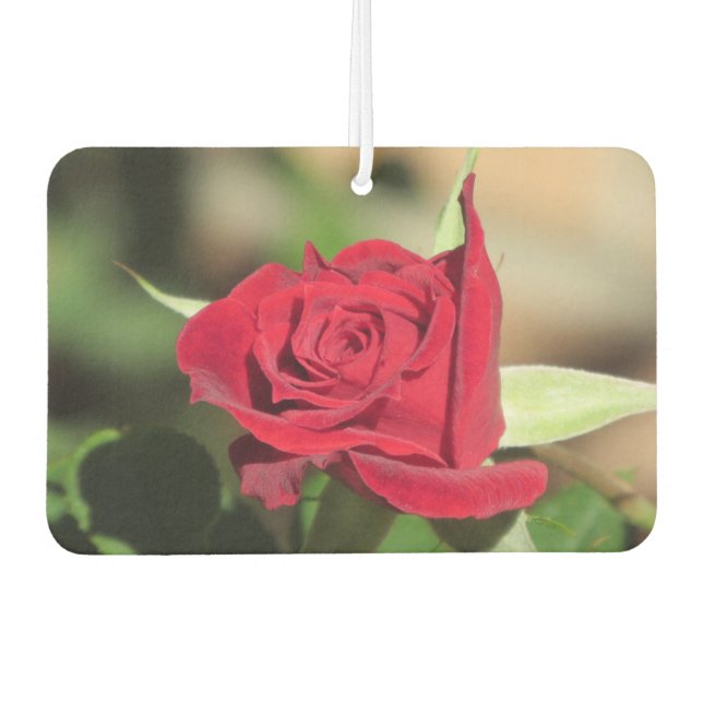 Désodorisant Pour Voiture Rose rouge (Devant)