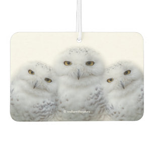 Désodorisant Pour Voiture Sagesse rêveuse des Chouettes neigeuses