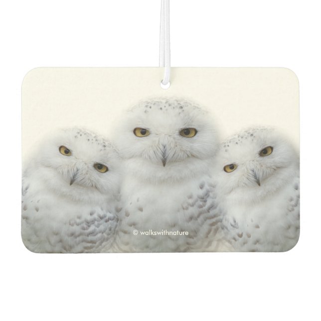 Désodorisant Pour Voiture Sagesse rêveuse des Chouettes neigeuses (Devant)