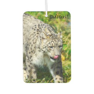 Désodorisant Pour Voiture Snow Leopard Rafraîchisseur d'air de voiture