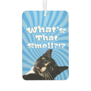 Désodorisant Pour Voiture Super drôle de chat