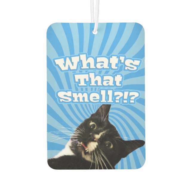 Désodorisant Pour Voiture Super drôle de chat (Dos)