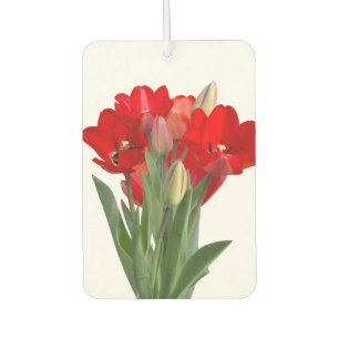 Désodorisant Pour Voiture Tulipes