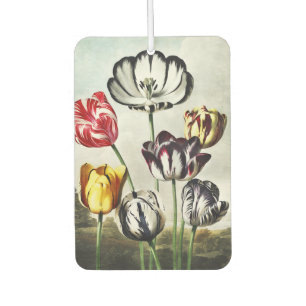 Désodorisant Pour Voiture Tulipes multicolores de style Régence humeur