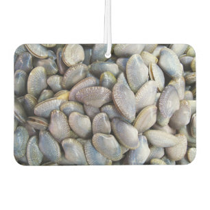 Désodorisant Pour Voiture Venus Clam [ห อ ย ล า ย]