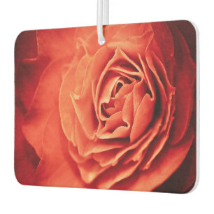 Désodorisant Pour Voiture vivant rose