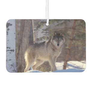 Désodorisant Pour Voiture Wolf Air Freshener