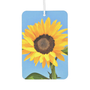 Désodorisant Pour Voiture Yellow Sunflower Car Air Freshenes