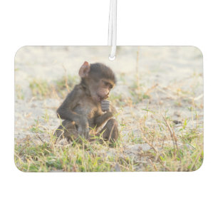 Désodorisant Pour Voiture Young Baboon