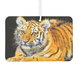 Désodorisant Pour Voiture Young Tiger