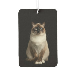 Désodorisants de voiture Black 4 Luxe, Chat Birman