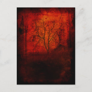 Desolat Postkarte