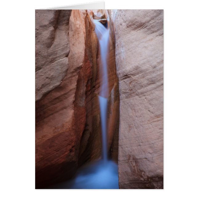 Desolate Oasis (Vorne)